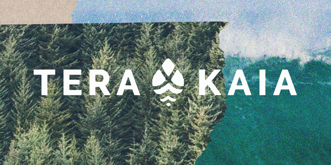 Project: Tera Kaia Basewear