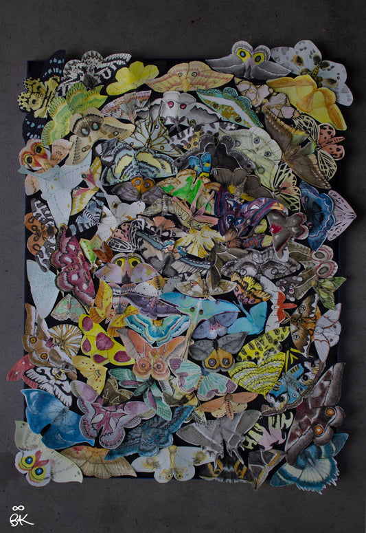66 Paper Moths - Mixed Media Watercolor 17.5" x 23.5"