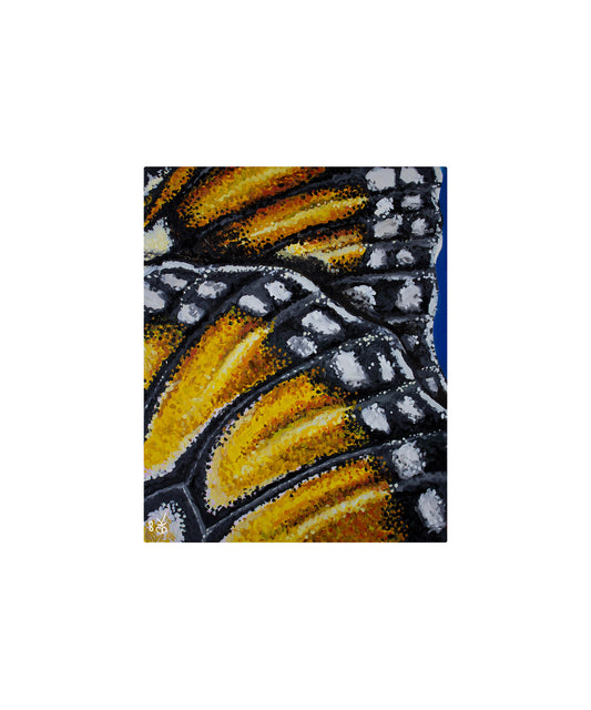 Pair of Monarch Butterfly Wings Fine Art Print - Wall Art - 10" x 12"
